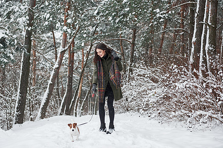 穿着暖身衣的女人在雪林里走着狗走 前视线显示图片