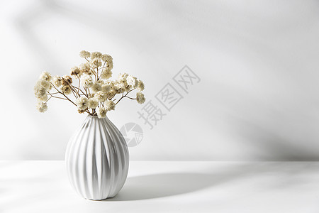 复制空间 文本的地方 情人节那天 托盘上放着一个插着白色干花的花瓶 在白色背景上被隔离图片