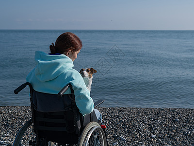 白种女人坐在轮椅上 跟海边的狗抱在一起卵石治疗海洋车轮宠物保健卫生支撑椅子朋友图片