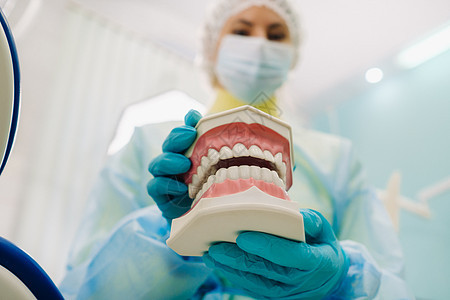 牙齿和牙刷在牙医手上的人体下巴模型以及程序教导医院实习生微笑保健职业全科手套医生图片