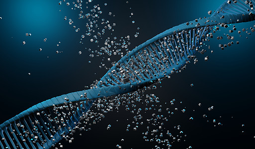 3d 渲染 RNA 的 DNA 螺旋互补链 序列遗传密码或基因组 基因表达 核苷酸数据库 转录和翻译的中心法则过程 人类基因生物图片