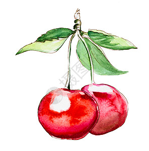 樱桃水果小标签白色背景的手工抽水彩色绘画樱桃背景