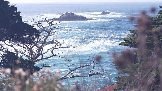 悬崖岩壁 海边 洛沃斯角 加州海岸 海浪崩塌波浪海岸线森林戏剧性蓝色岩石泡沫支撑海滩破岸图片