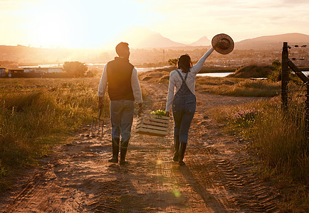 家庭农业的故事凸显了可持续发展的传统 日落时 两名农民提着箱子在农场上行走图片