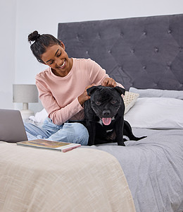他是个好孩子 一个迷人的年轻女人抚摸她的狗的全长镜头 同时在家里和她的狗一起在床上使用笔记本电脑图片