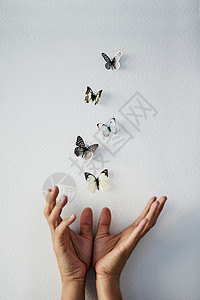 摄影棚拍摄一个无法辨认的人的手 把灰色背景的蝴蝶释放到空气中去 这太神奇了图片