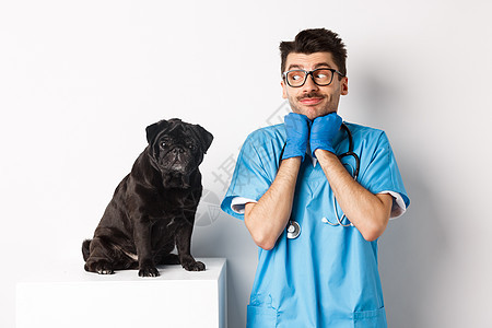 英俊的男性医生兽医的形象看着可爱的黑色哈巴狗坐在桌子上 欣赏小狗的可爱 站在白色背景上医院保健工作疫苗药品男人成人实验室犬类动物图片