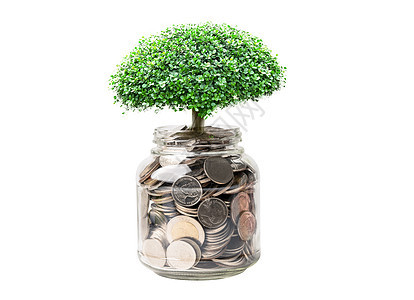 在草罐中保存钱币的树上 商业金融投资概念订金兴趣储蓄现金银行业硬币会计生长瓶子财富图片