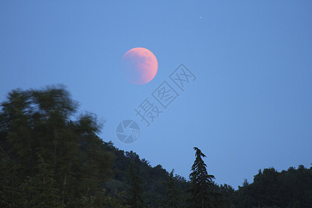 日落时蓝天的红月亮图片