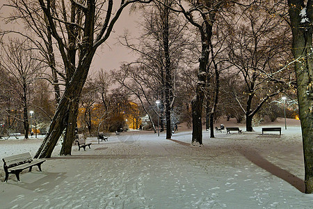 冬天晚上公园里下着雪图片
