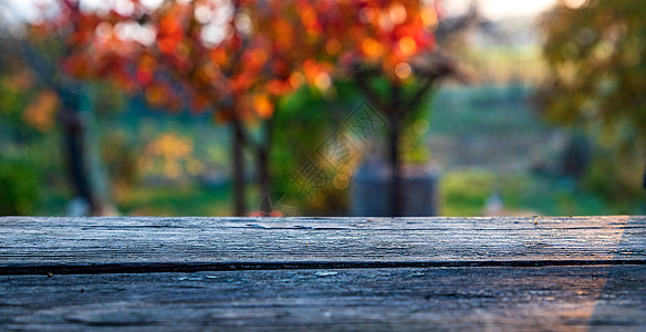 木桌 桌面 模糊的秋天背景 空木架 柜台 书桌 透视木桌面图片