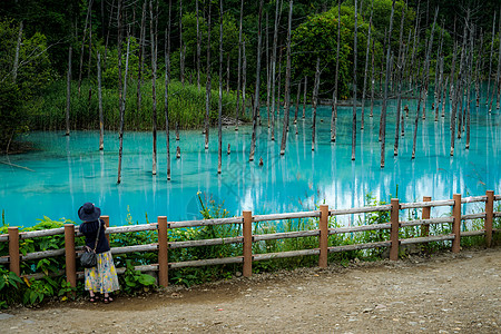 北海道Bieicho旅游景点多云天气森林木头自然池塘财富蓝色图片