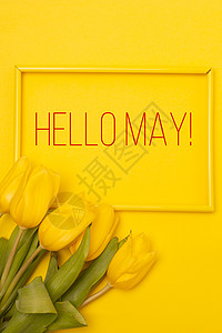横幅你好五月 在黄色背景上的郁金香 一篇关于新月的文章 关于春天的文章 带文字的鲜花照片花束海报植物群花朵字体欢迎卡片刻字书法时图片
