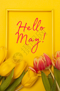横幅你好五月 在黄色背景上的郁金香 一篇关于新月的文章 关于春天的文章 带文字的鲜花照片叶子花束植物群海报卡片邀请函时间书法欢迎图片