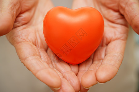 手捧红心 医疗保健 爱 器官捐赠 正念 幸福 家庭保险和 CSR 概念 世界心脏日 世界卫生日 国家器官捐赠日家庭福利医生捐赠者图片