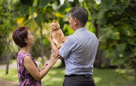 中年夫妇在后院和猫一起放松图片