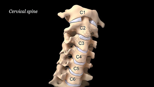 3D 黑色背景的宫颈脊椎3D医学插图柱子椎骨诊断疝气疾病整脊外科神经压力髓质背景图片