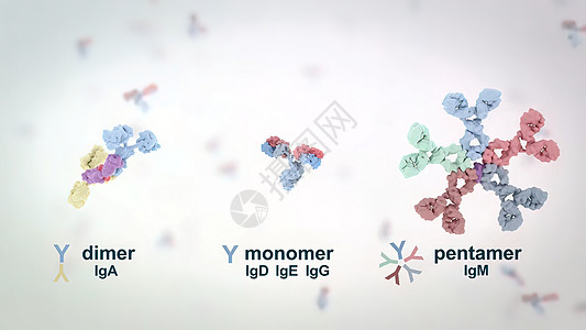 抗体是免疫系统为防治感染而生产的蛋白质全息屏幕细菌药品3d考试医院解剖学微生物学实验室图片