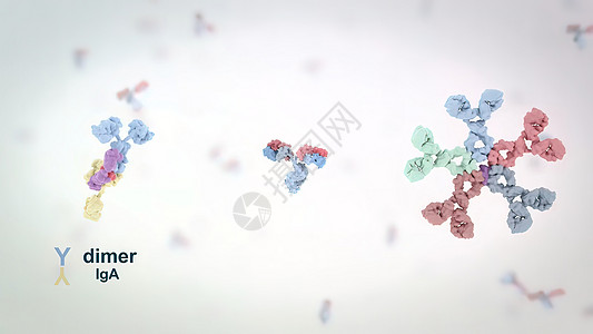 抗体是免疫系统为防治感染而生产的蛋白质监视器疾病扫描染色体肿瘤解剖学程序屏幕实验室微生物图片