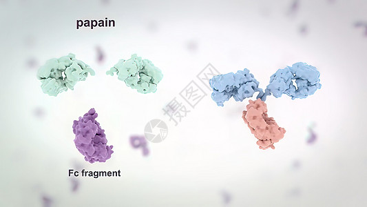 抗体是免疫系统为防治感染而生产的蛋白质3d诊断疾病表皮显微镜手术软件医院界面屏幕图片