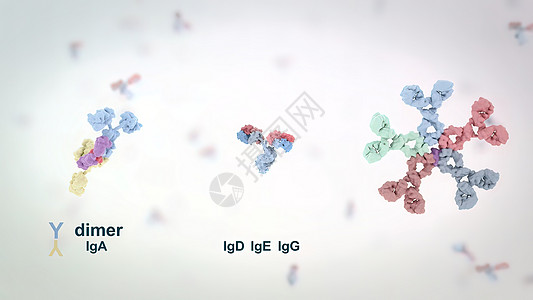 抗体是免疫系统为防治感染而生产的蛋白质微生物表皮粒子实验室身体配体监视器考试诊断扫描图片