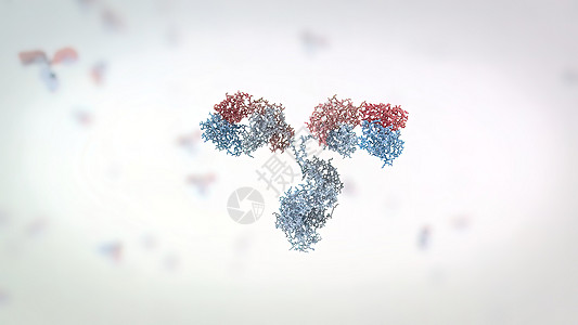 抗体是免疫系统为防治感染而生产的蛋白质解剖学细菌渲染微生物肿瘤身体疾病药品屏幕展示图片