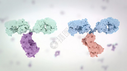 抗体是免疫系统为防治感染而生产的蛋白质外科细菌手术配体染色体考试扫描微生物矩阵诊断图片