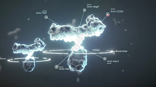 抗体是免疫系统为防治感染而生产的蛋白质解剖学外科配体细菌全息扫描展示疾病粒子考试图片