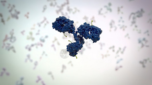 抗体是免疫系统为防治感染而生产的蛋白质身体科学渲染细菌药品解剖学癌症程序肿瘤染色体图片