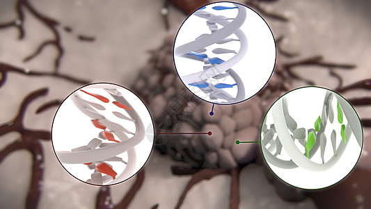 癌症细胞的分裂和生长染色体细胞学活检间期病理科学生活生物学死亡组织图片