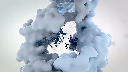 抗体是免疫系统为防治感染而生产的蛋白质微生物学矩阵外科疾病程序诊断软件扫描展示显微镜图片