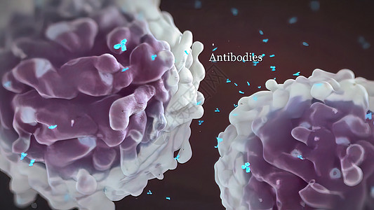 抗体的3D型抗体表皮染色体微生物学界面细菌实验室软件粒子显微镜扫描图片