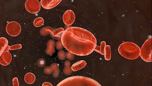 血液循环系统 红血细胞倍率生物学动脉红细胞血小板照片心血管粒子血流解剖学图片