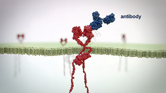 抗体是免疫系统为防治感染而生产的蛋白质渲染矩阵肿瘤细菌身体实验室表皮手术3d微生物学图片