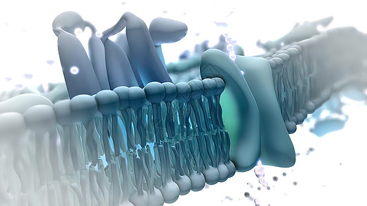 3d医疗插图分子后遗症脂类液体微生物学作用液泡毛孔显微镜结构图片