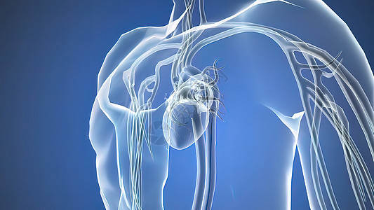 插入一个支节打开隐蔽的动脉显微镜心血管细胞情况药品心绞痛支架心脏病学诊断疼痛图片