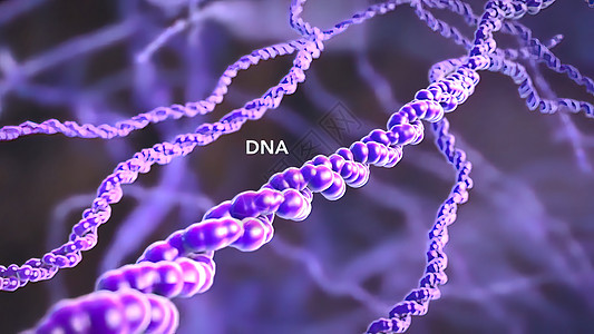 细胞核和DNA 在生物学科学中结构绿色生物技术婴儿显微镜蓝色屏幕螺旋遗传学图片