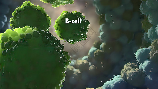 抗体是免疫系统为防治感染而生产的蛋白质屏幕显微镜3d矩阵肿瘤实验室程序细菌药品表皮图片