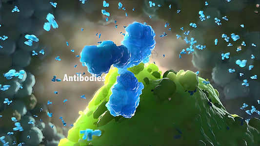 抗体是免疫系统为防治感染而生产的蛋白质粒子科学屏幕外科癌症软件实验室表皮程序诊断图片