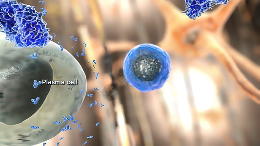 将抗体免疫学和免疫球蛋白概念视为一种对感染性病毒细胞和病原体进行攻击的抗体生长细菌感染免疫代谢医疗医学保健生活渲染抗生素图片