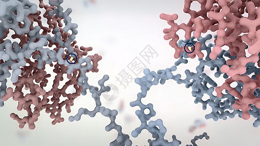 抗体是免疫系统为防治感染而生产的蛋白质监视器界面表皮科学程序染色体医院肿瘤3d考试图片