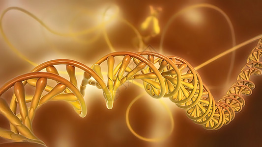 DNA或脱氧核糖分泌酸思考克隆染色体机器动物结构微生物学药品医疗螺旋图片
