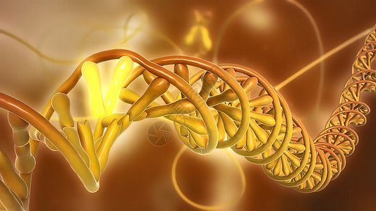 DNA或脱氧核糖分泌酸医疗细胞思考基因动物技术蓝色模型克隆界面图片