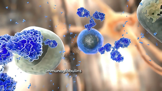 将抗体免疫学和免疫球蛋白概念视为一种对感染性病毒细胞和病原体进行攻击的抗体渲染医学生长抗原感染癌细胞微生物3d生活溪流图片