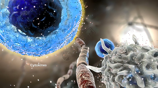 Cytokine 3D 插图的中年释放免疫微生物学医疗白细胞疾病趋化抗体吞噬细胞淋巴细胞图片