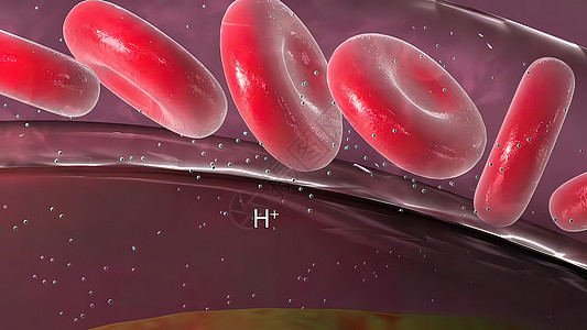 呼吸短促导致血液中二氧化碳累积量的缺气情况缓冲红细胞脂肪样本医生管子药品动脉心血管血管图片