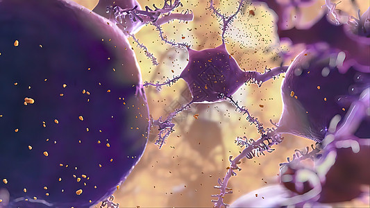 抗体是免疫系统为防治感染而生产的蛋白质科学染色体医院展示配体药品肿瘤细菌监视器手术图片