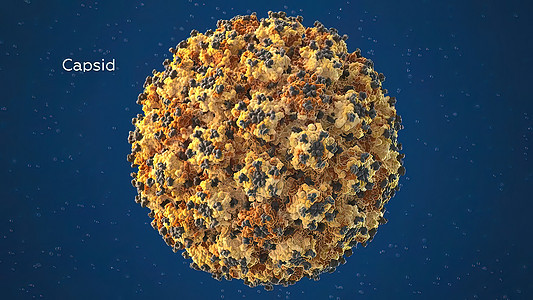 3D 3D 微生物3D插图 一种病毒的蛋白壳肠杆菌直升机细胞地球壳粒编辑病菌卫生球形数据库图片