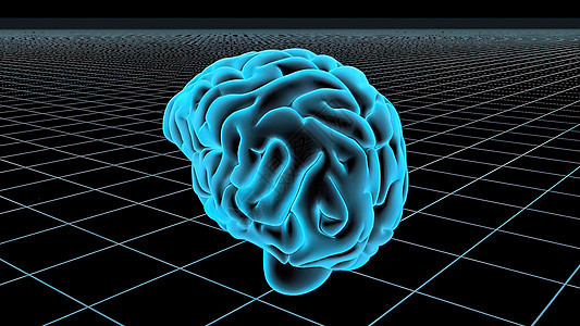 3D 动动无缝人脑循环小脑头脑网络药理科学医生细胞神经元胼胝体半球图片