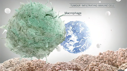 PDL1途径的癌症免疫疗法科学医疗解剖学攻击分子3d插图抗体细菌癌细胞背景图片
